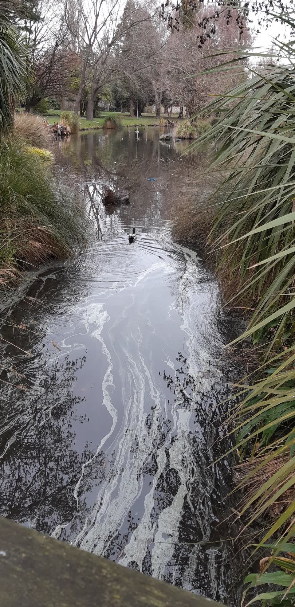 The photograph attached to this parks report