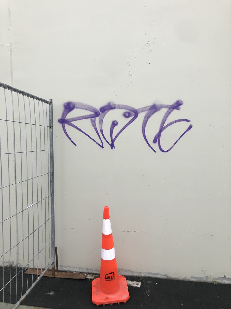 The photograph attached to this graffiti report