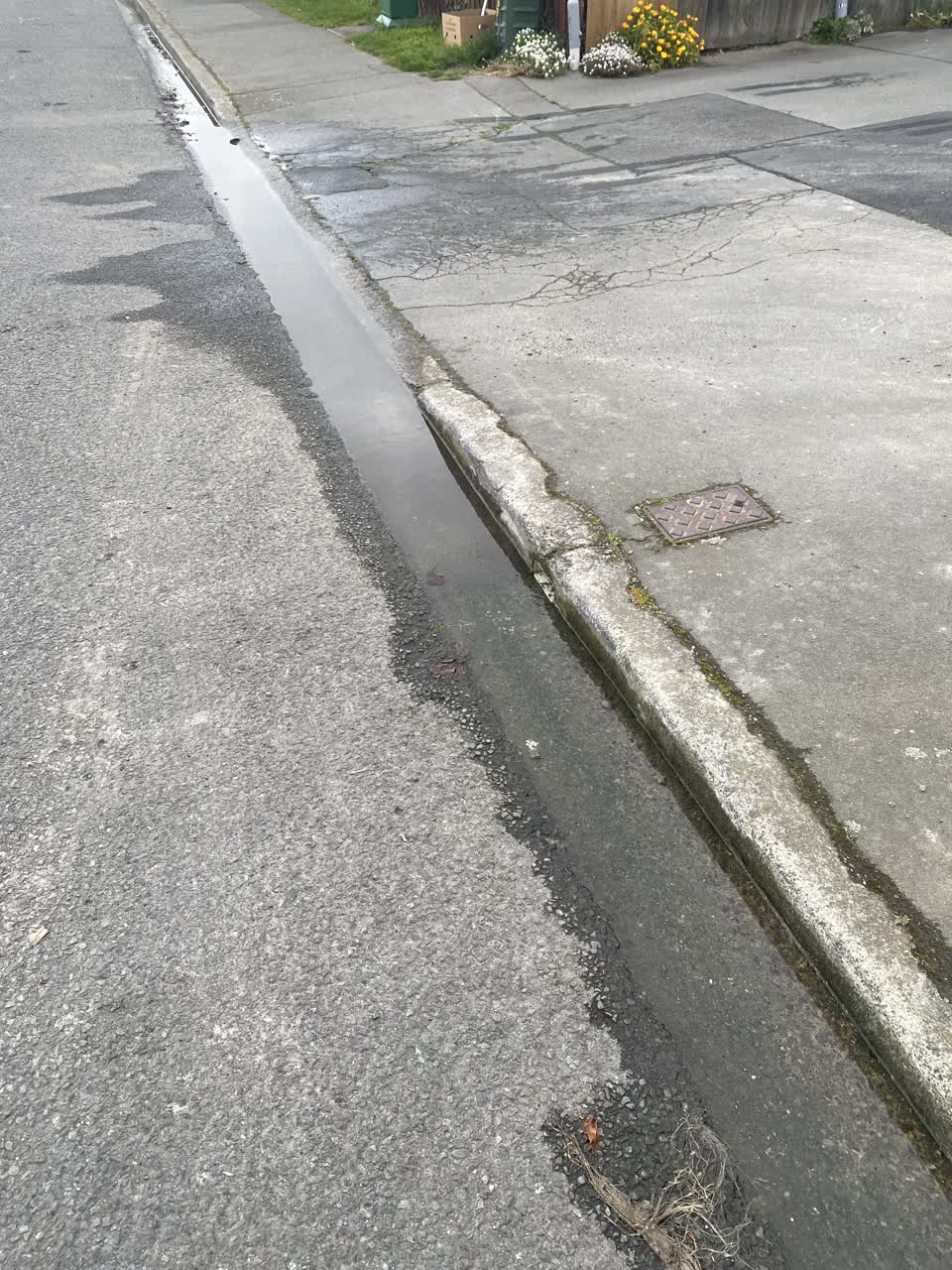 The photograph attached to this water leak report