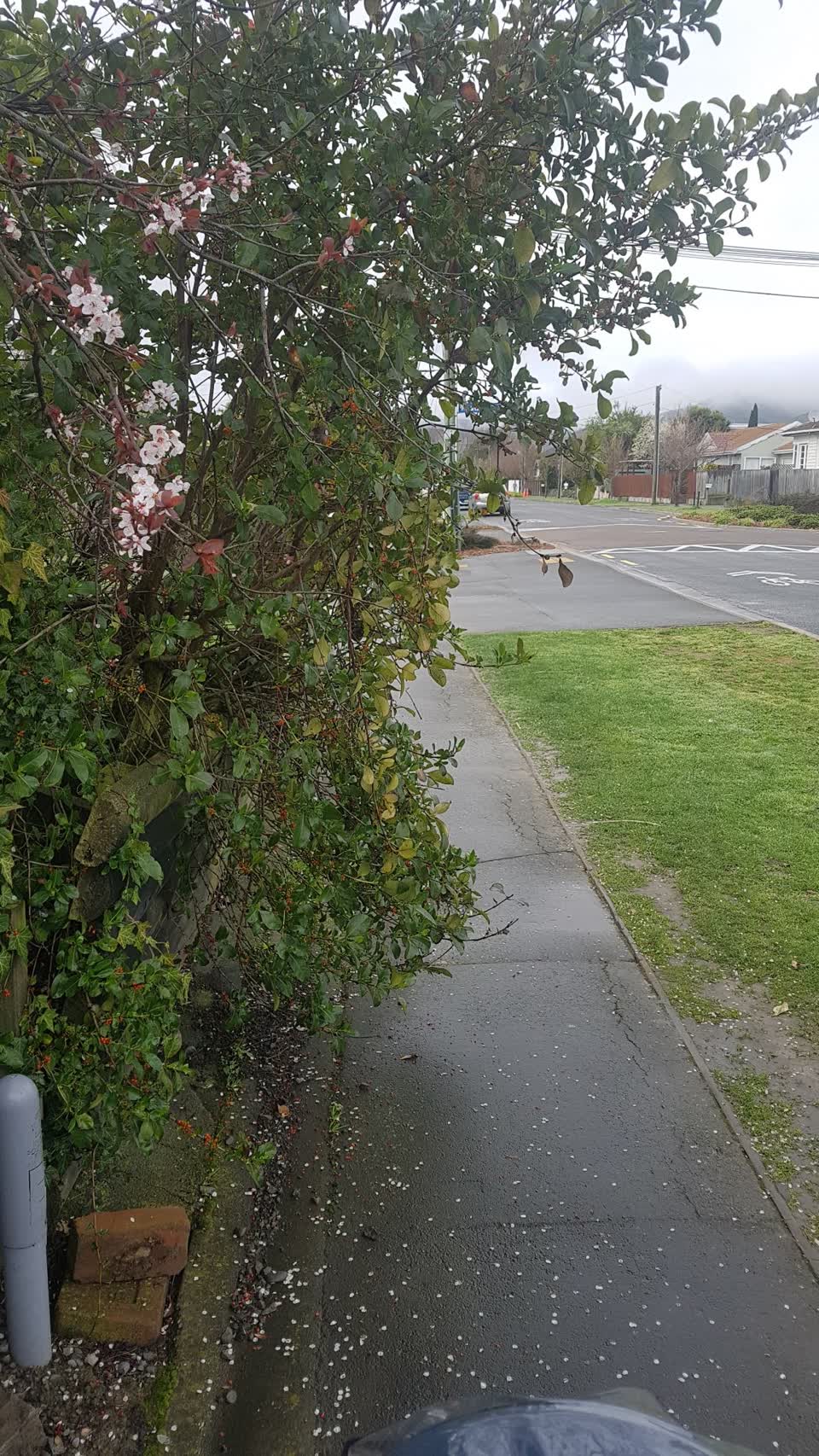 The photograph attached to this roading/streets report