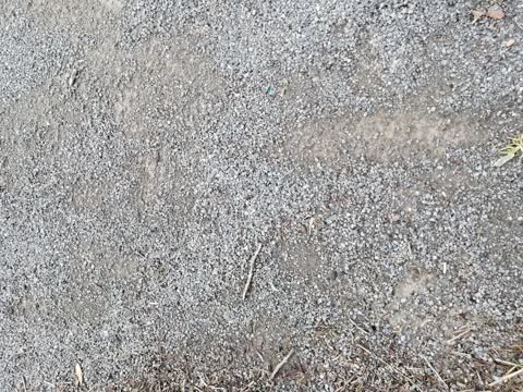 Parks, a report photo