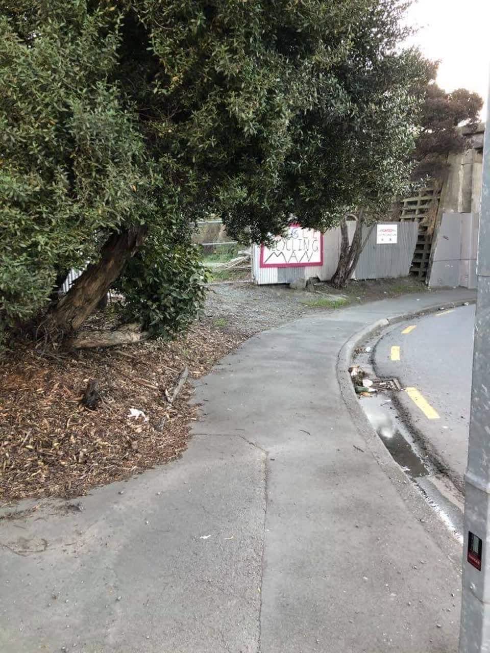 The photograph attached to this roading/streets report