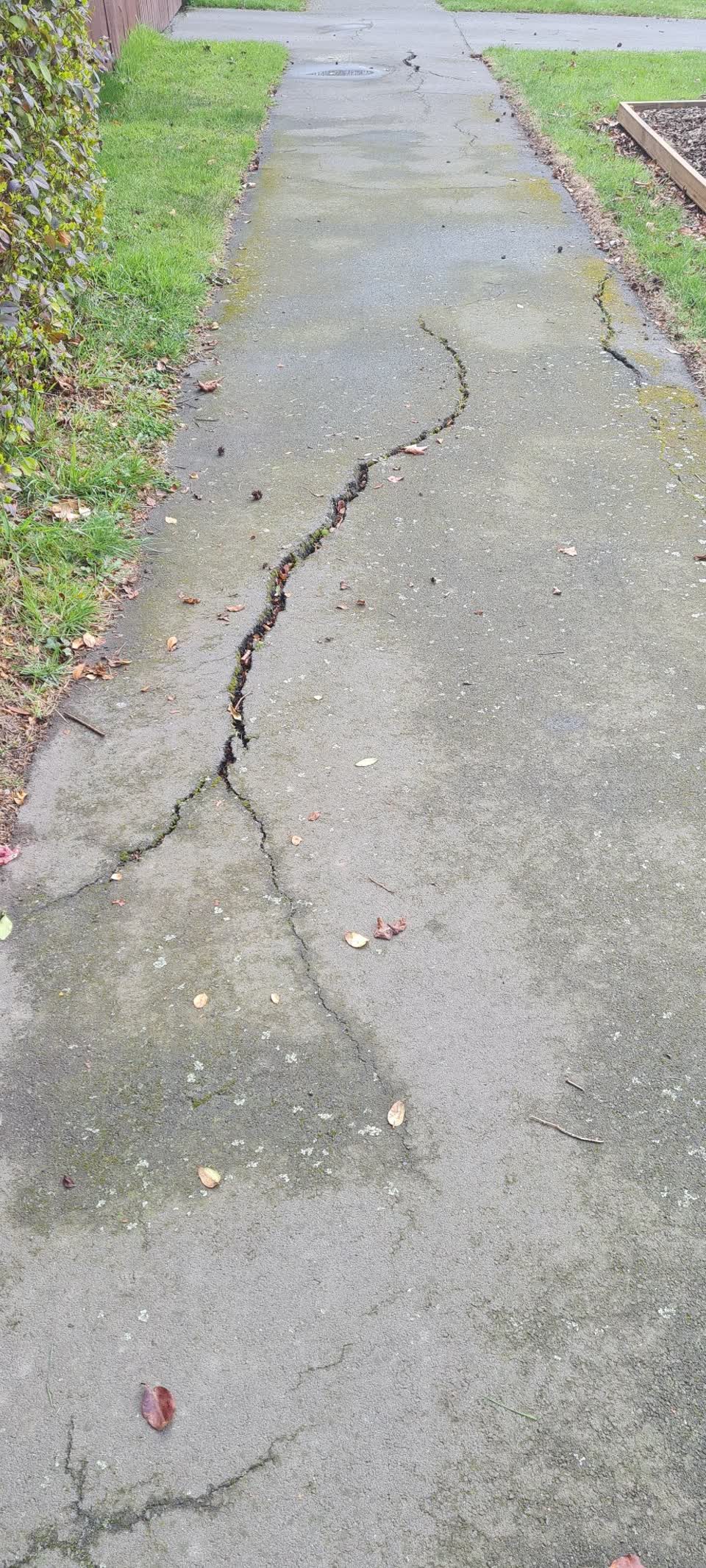 The photograph attached to this roading/streets report