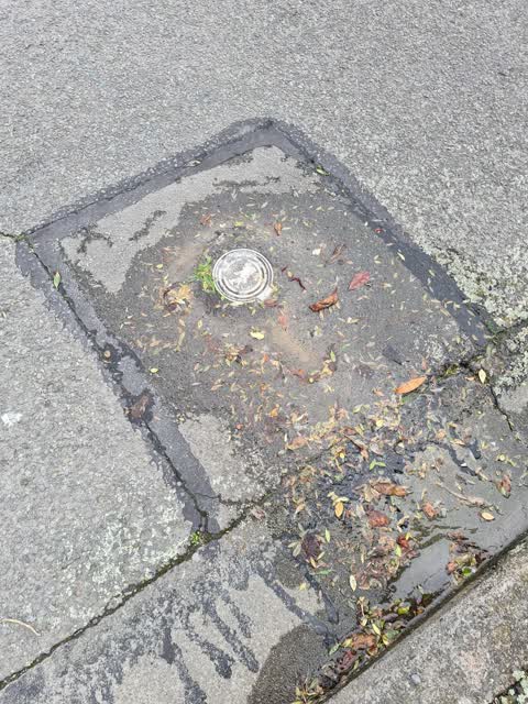 Water Leak, a report photo