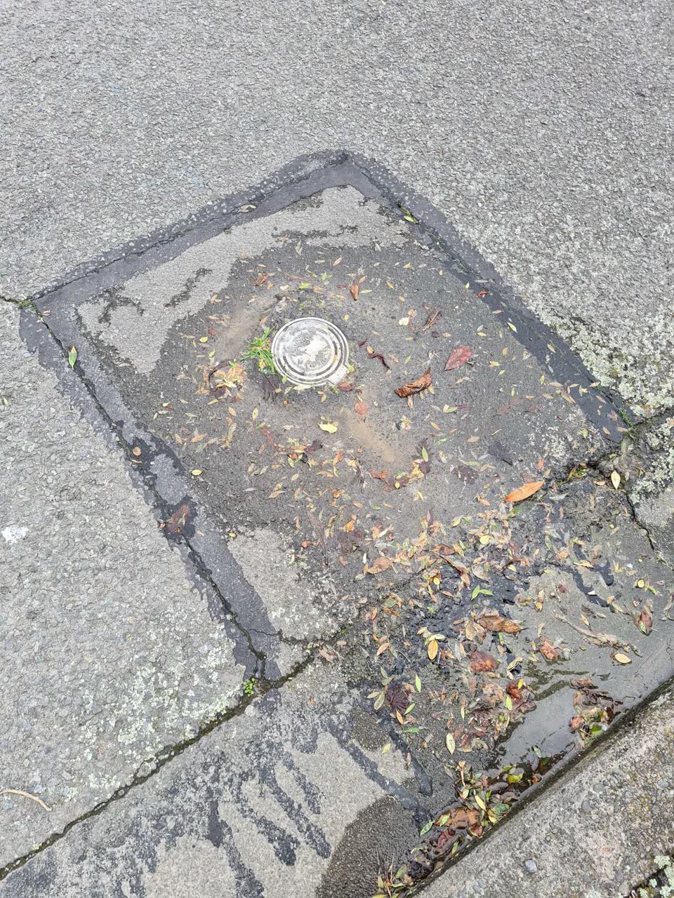 The photograph attached to this water leak report