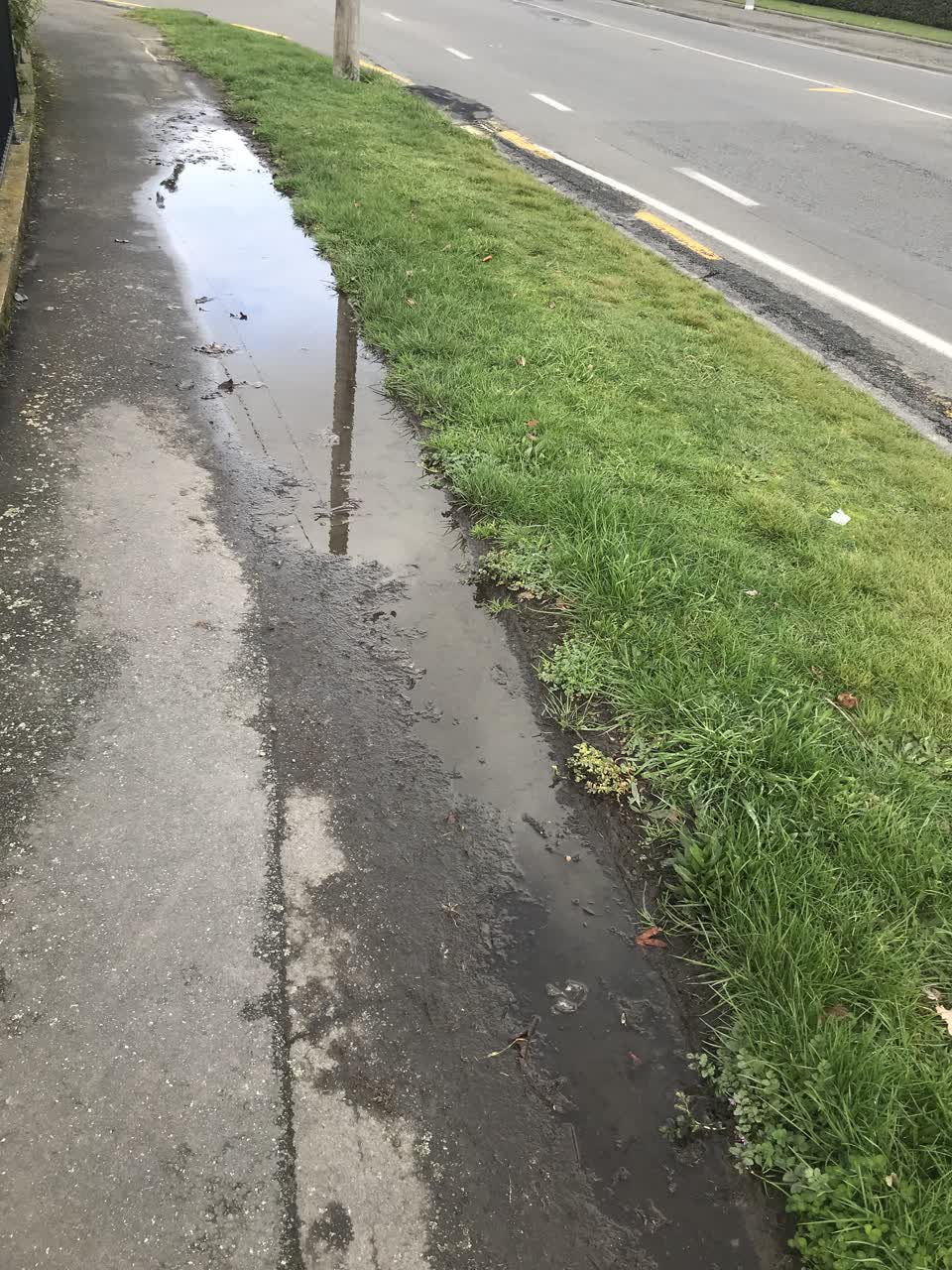 The photograph attached to this water leak report