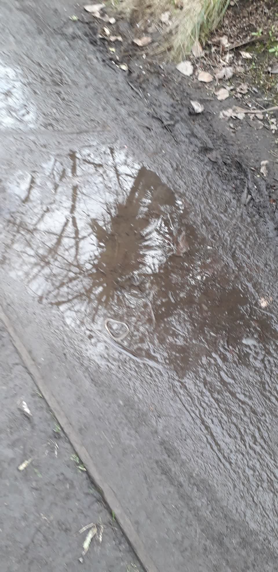 The photograph attached to this parks report