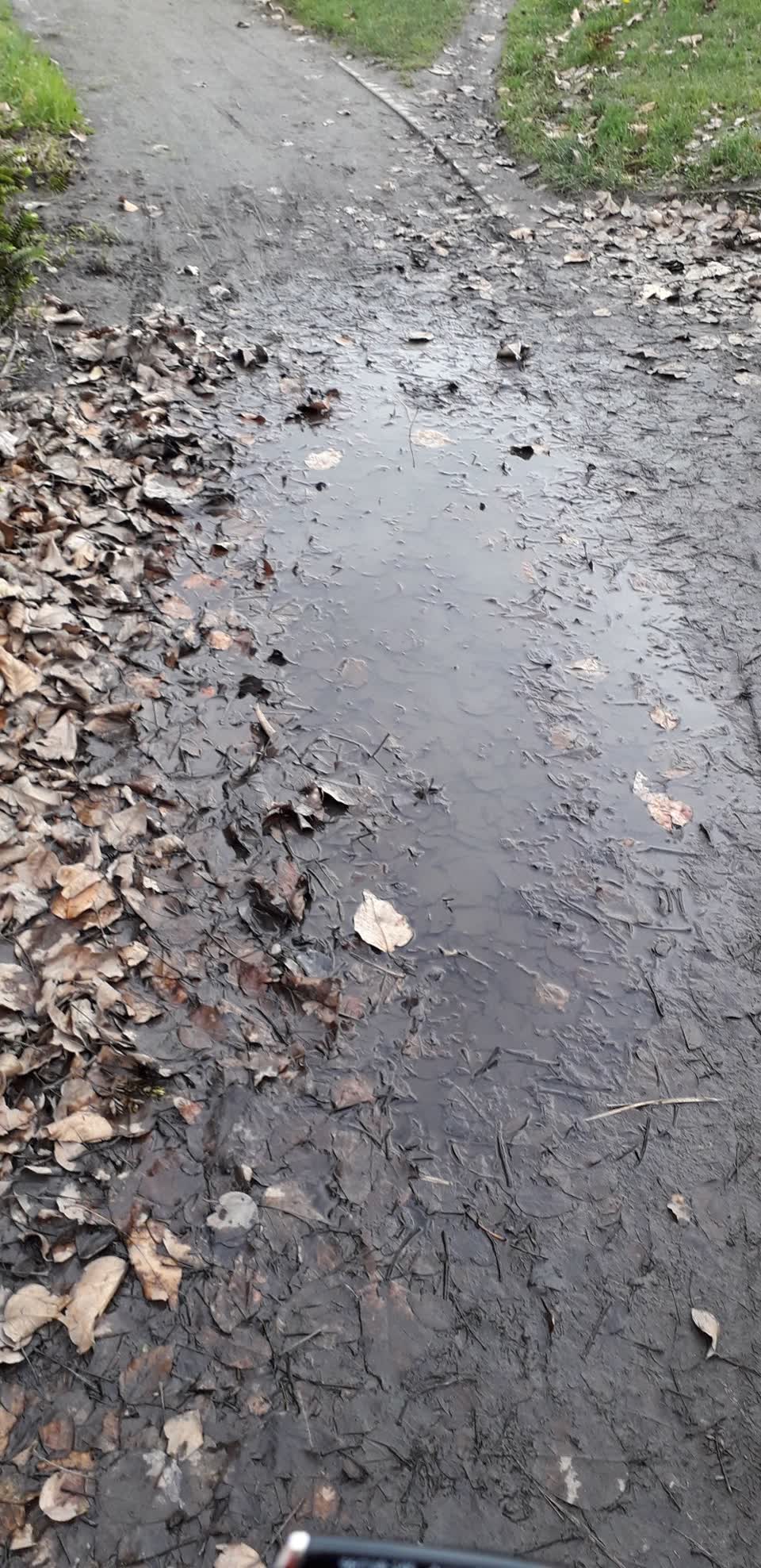 The photograph attached to this parks report
