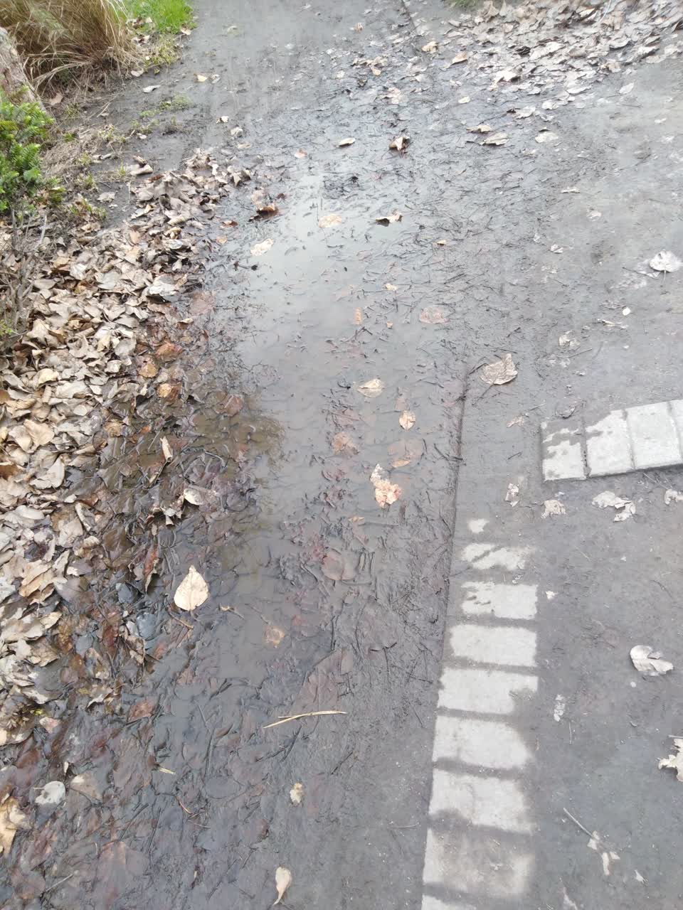 The photograph attached to this parks report