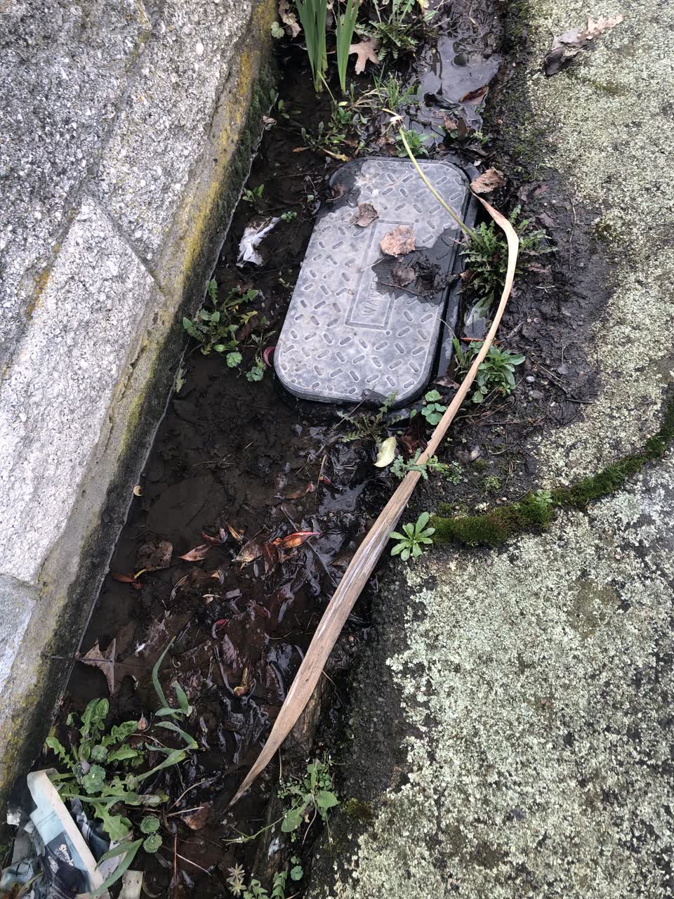 The photograph attached to this water leak report