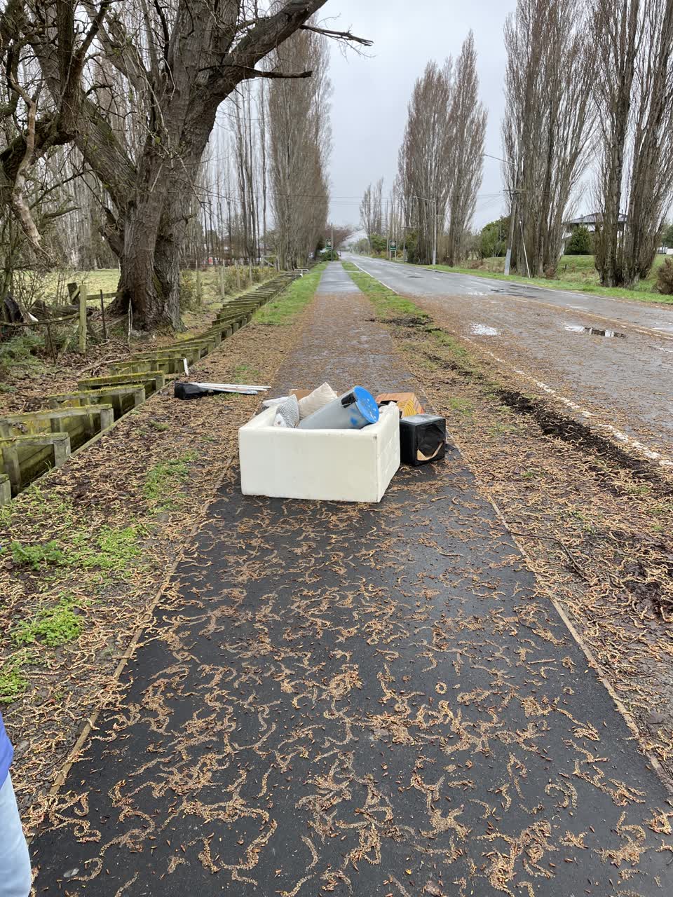 The photograph attached to this rubbish/recycling report