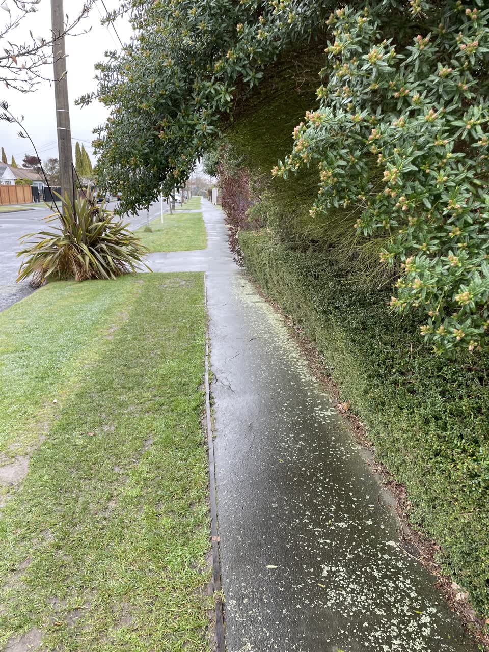 The photograph attached to this roading/streets report