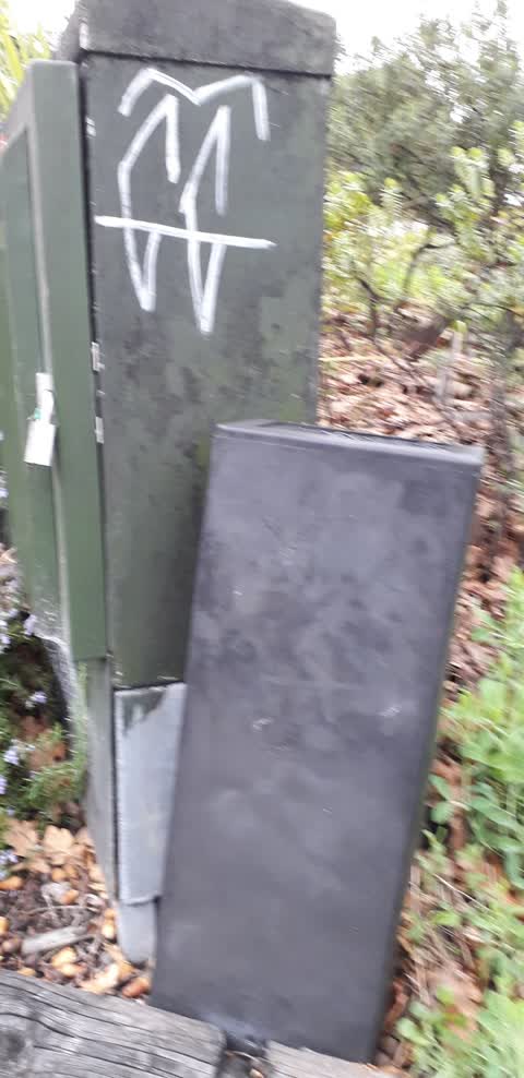 Graffiti, a report photo