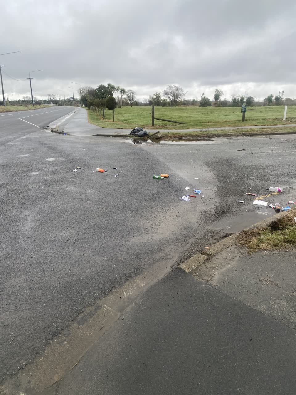 The photograph attached to this rubbish/recycling report
