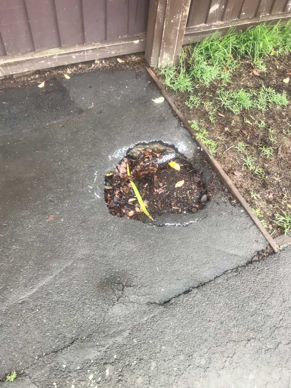 The photograph attached to this parks report
