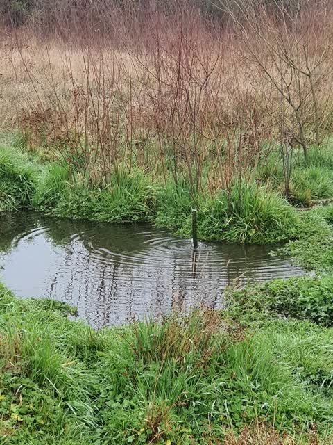 Water Leak, a report photo