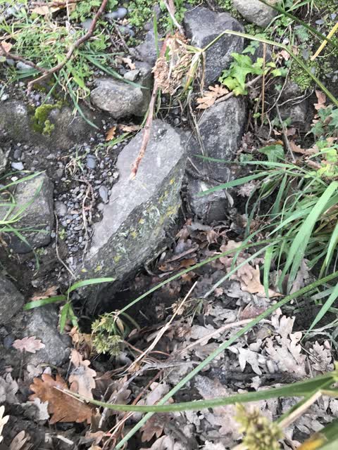 Wastewater/Stormwater, a report photo