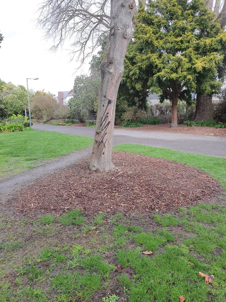 The photograph attached to this graffiti report