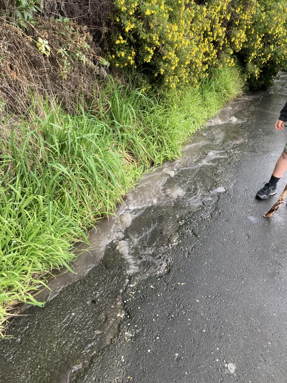 The photograph attached to this water leak report