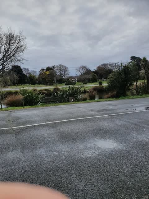 Parks, a report photo
