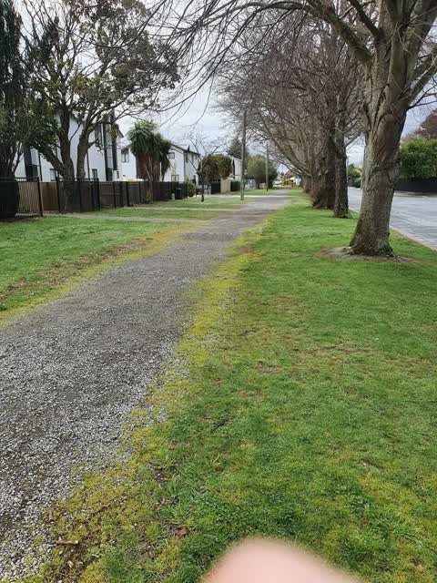 Roading/Streets, a report photo