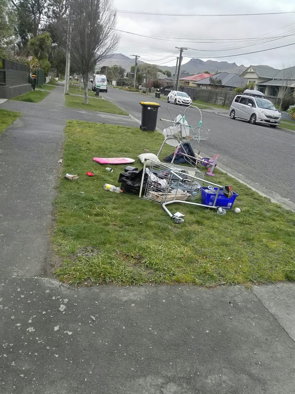 The photograph attached to this rubbish/recycling report