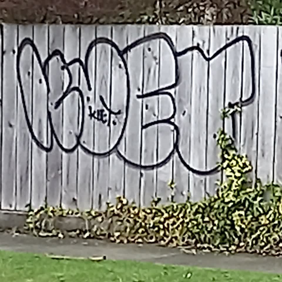 The photograph attached to this graffiti report