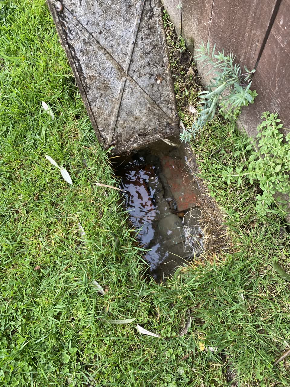 The photograph attached to this water leak report