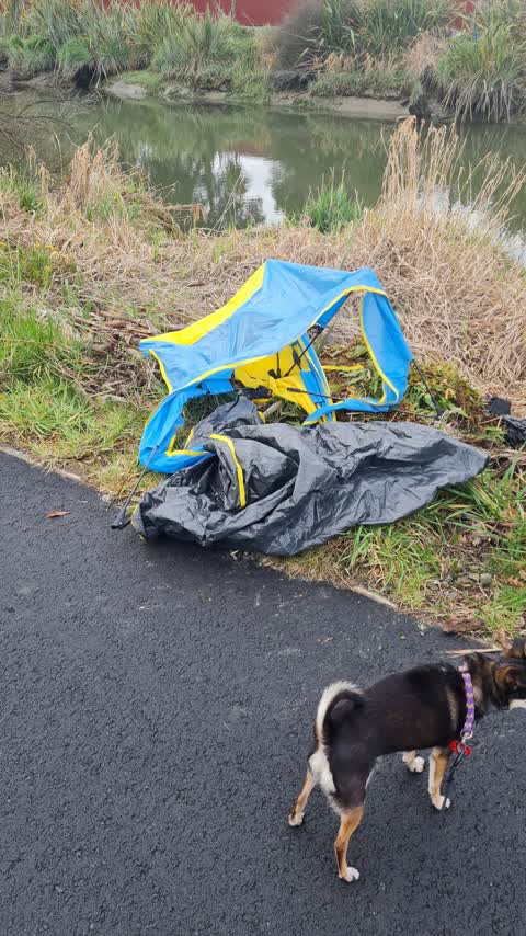 Rubbish/Recycling, a report photo