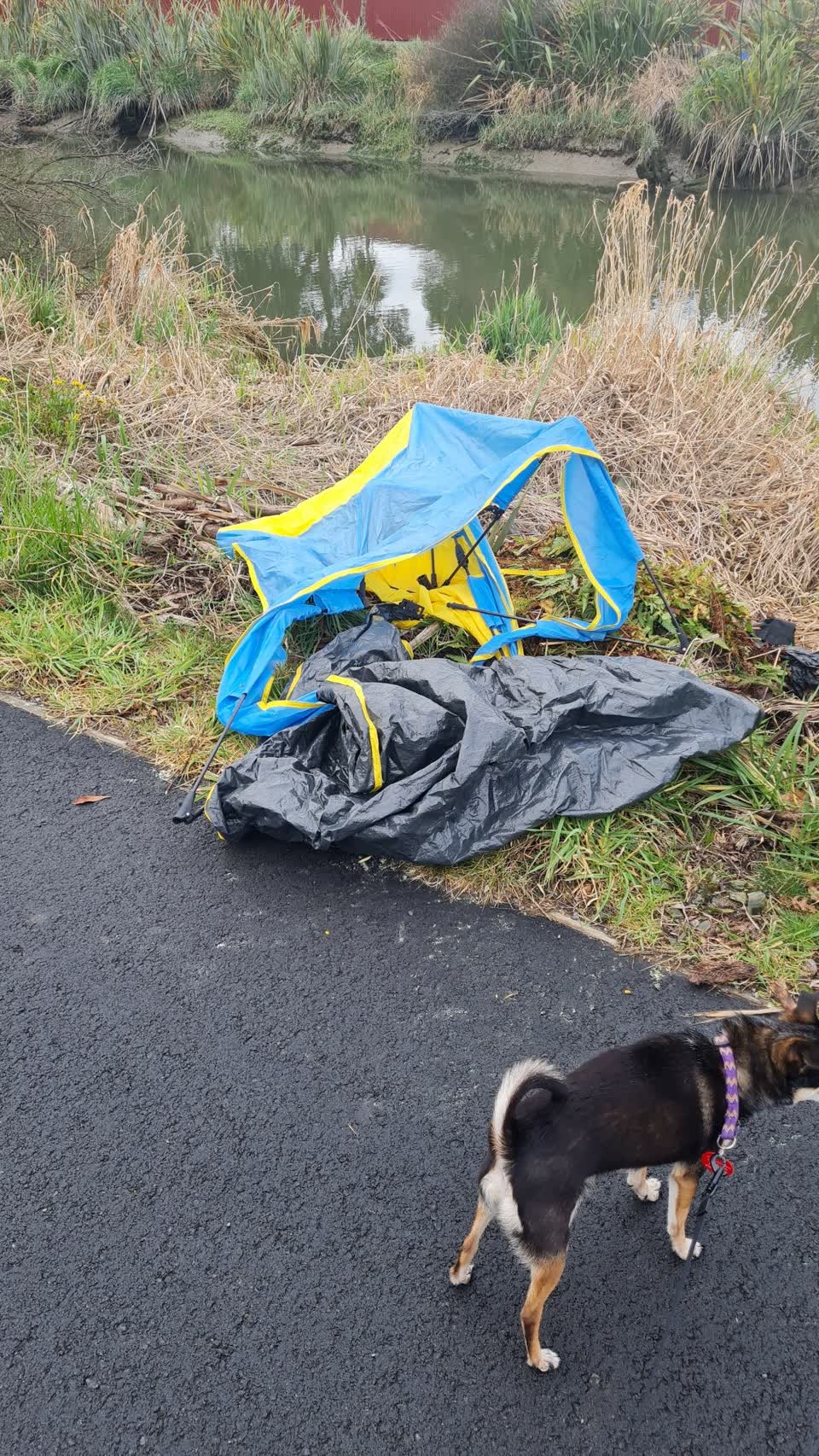 The photograph attached to this rubbish/recycling report