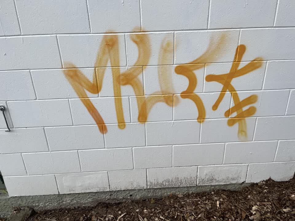 The photograph attached to this graffiti report