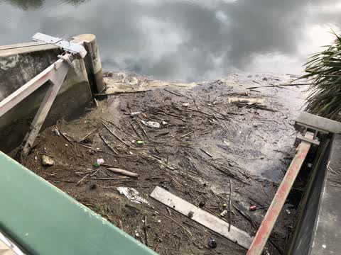 Rubbish/Recycling, a report photo