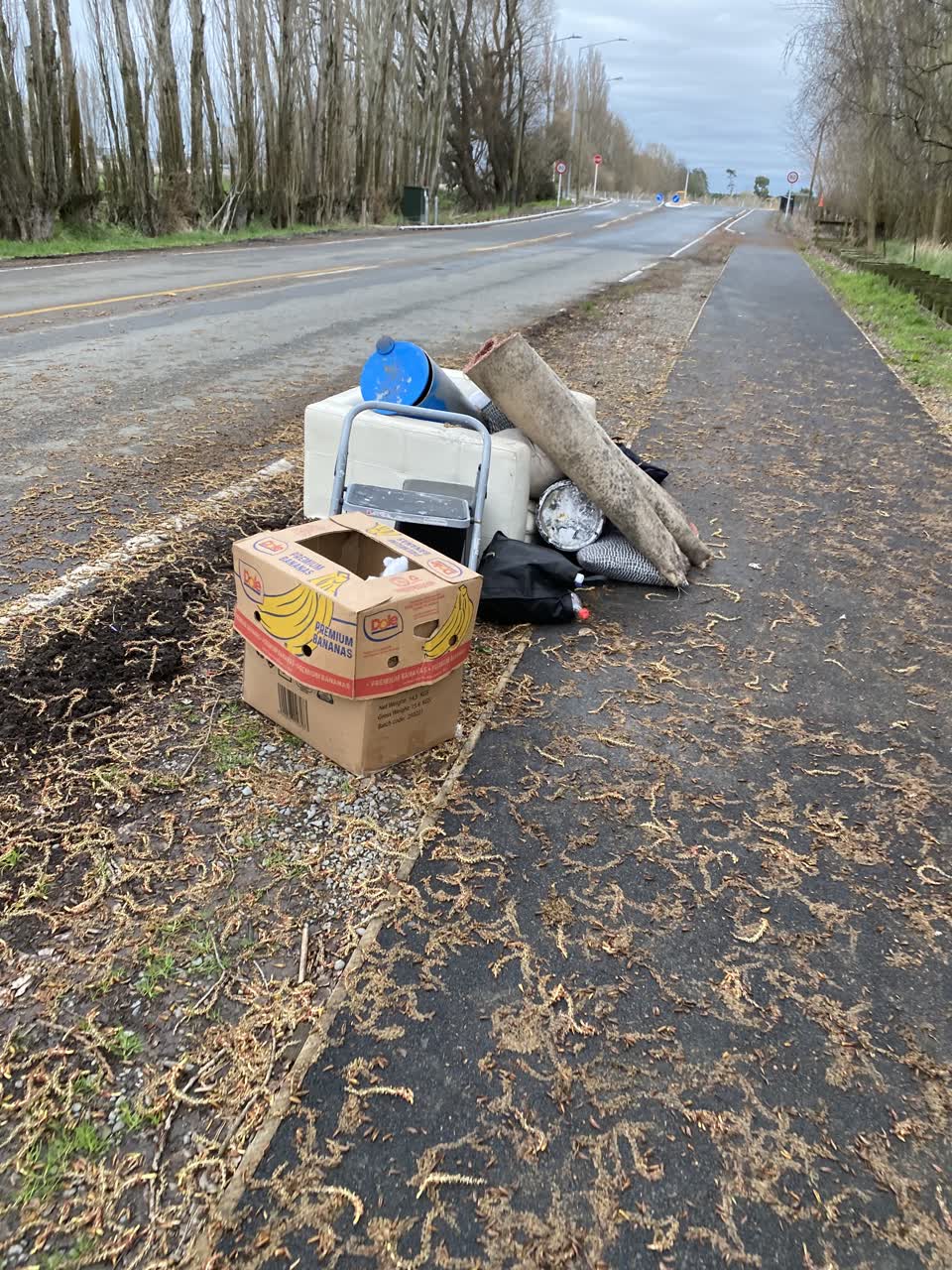 The photograph attached to this rubbish/recycling report