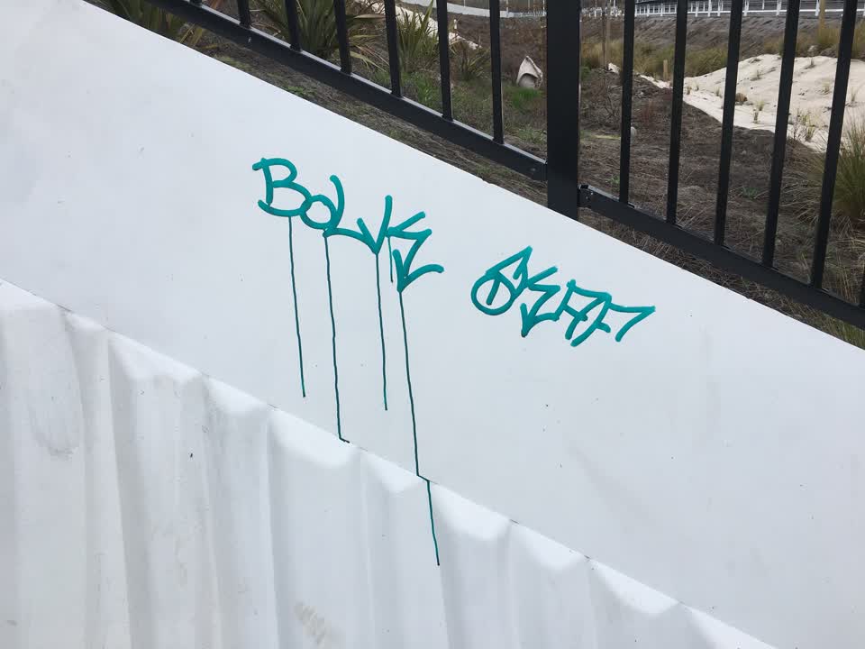 The photograph attached to this graffiti report