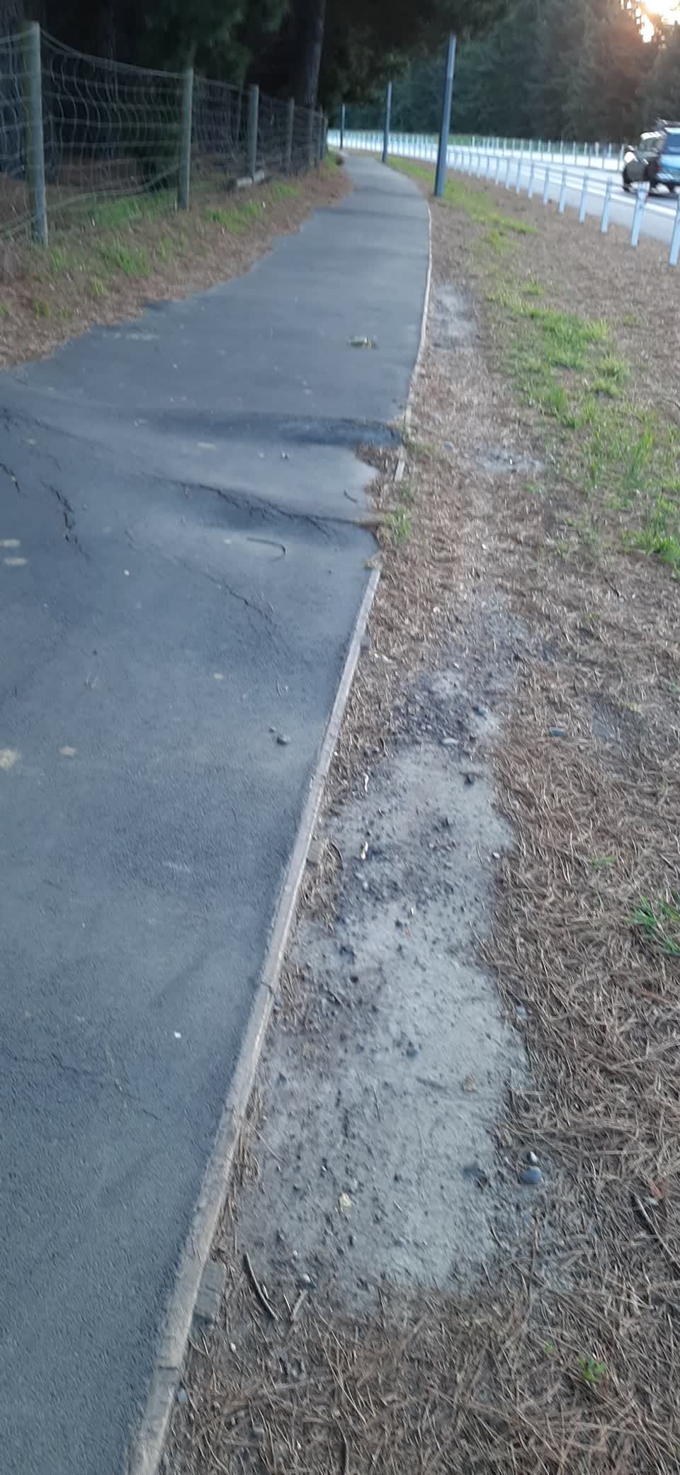 The photograph attached to this roading/streets report