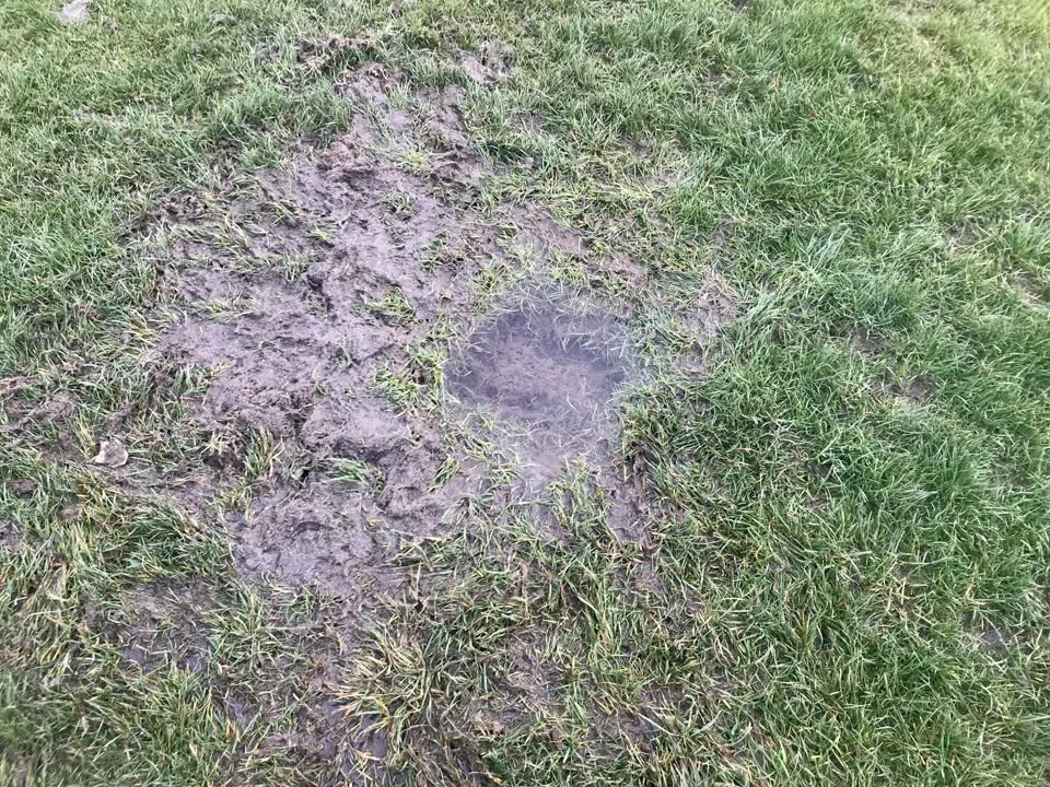The photograph attached to this parks report