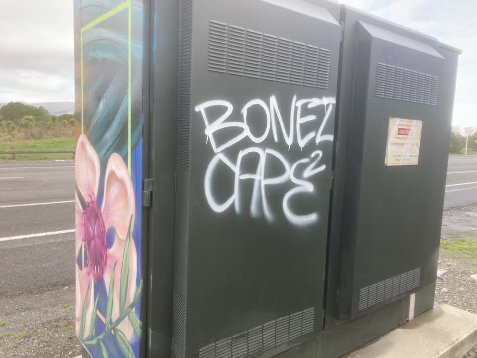 The photograph attached to this graffiti report