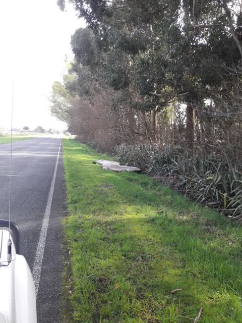 Roading/Streets, a report photo