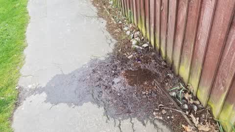 Water Leak, a report photo