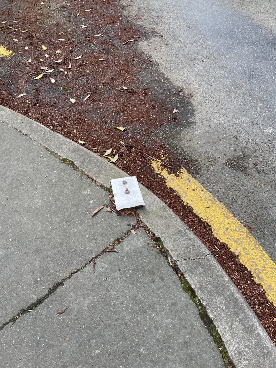 The photograph attached to this roading/streets report