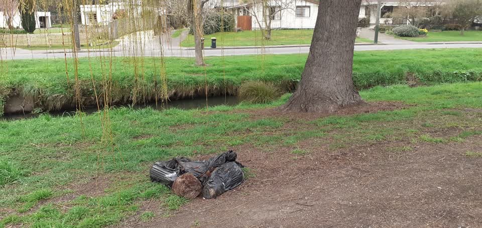 The photograph attached to this rubbish/recycling report