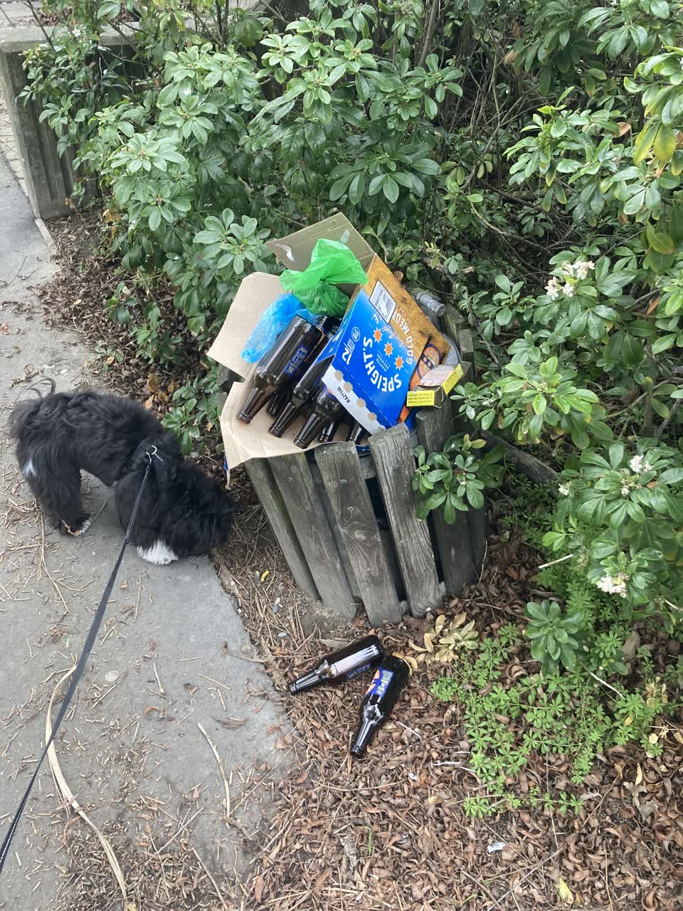 The photograph attached to this rubbish/recycling report