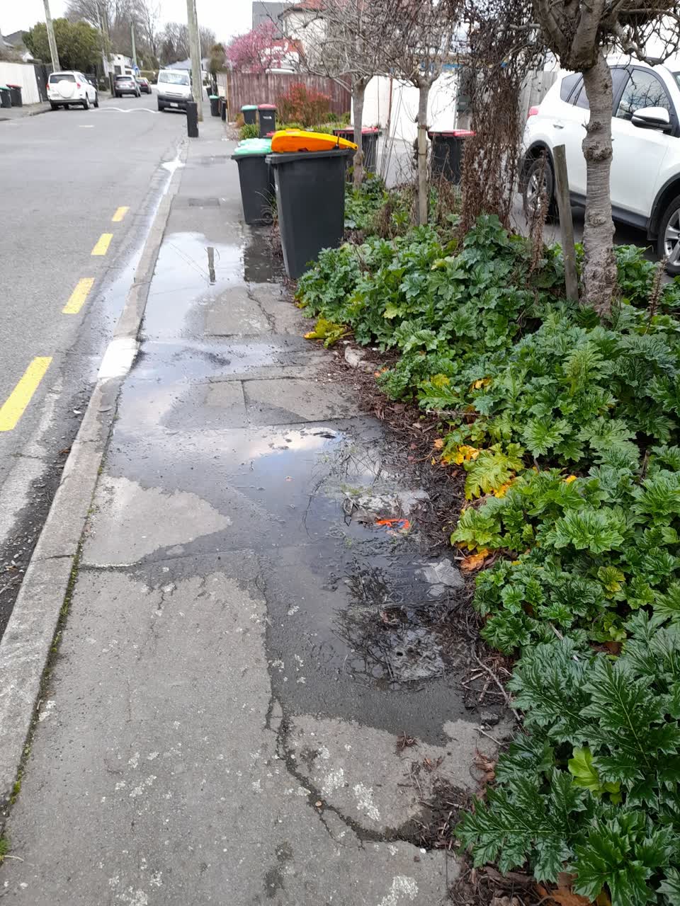 The photograph attached to this water leak report