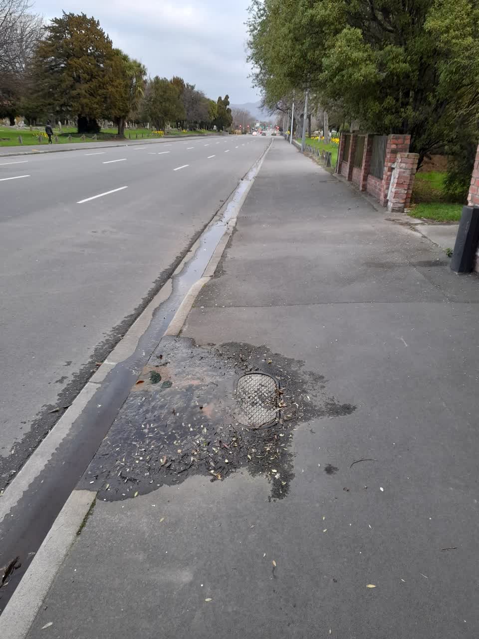 The photograph attached to this sewer - leak / blockage report