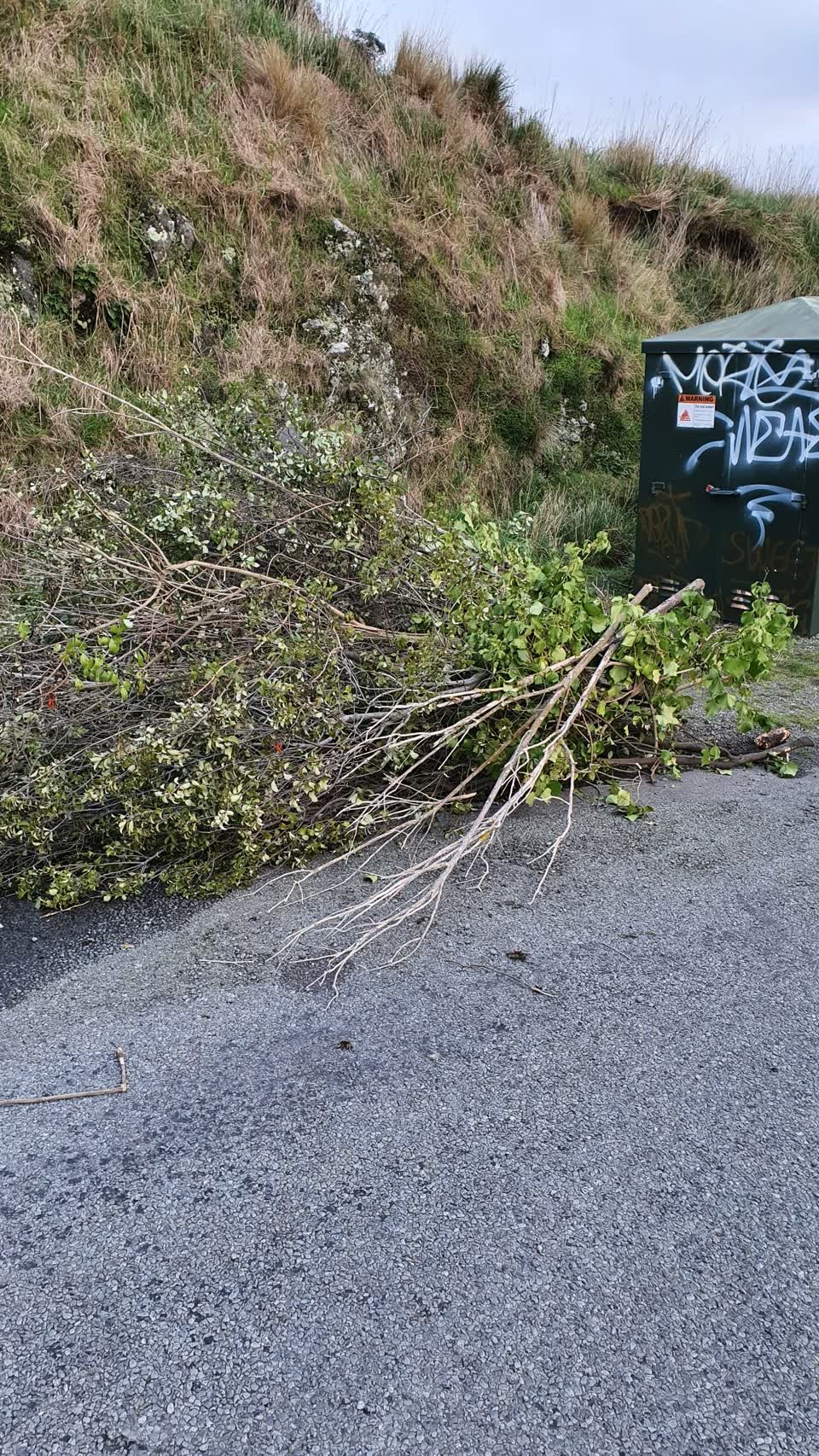 The photograph attached to this rubbish/recycling report