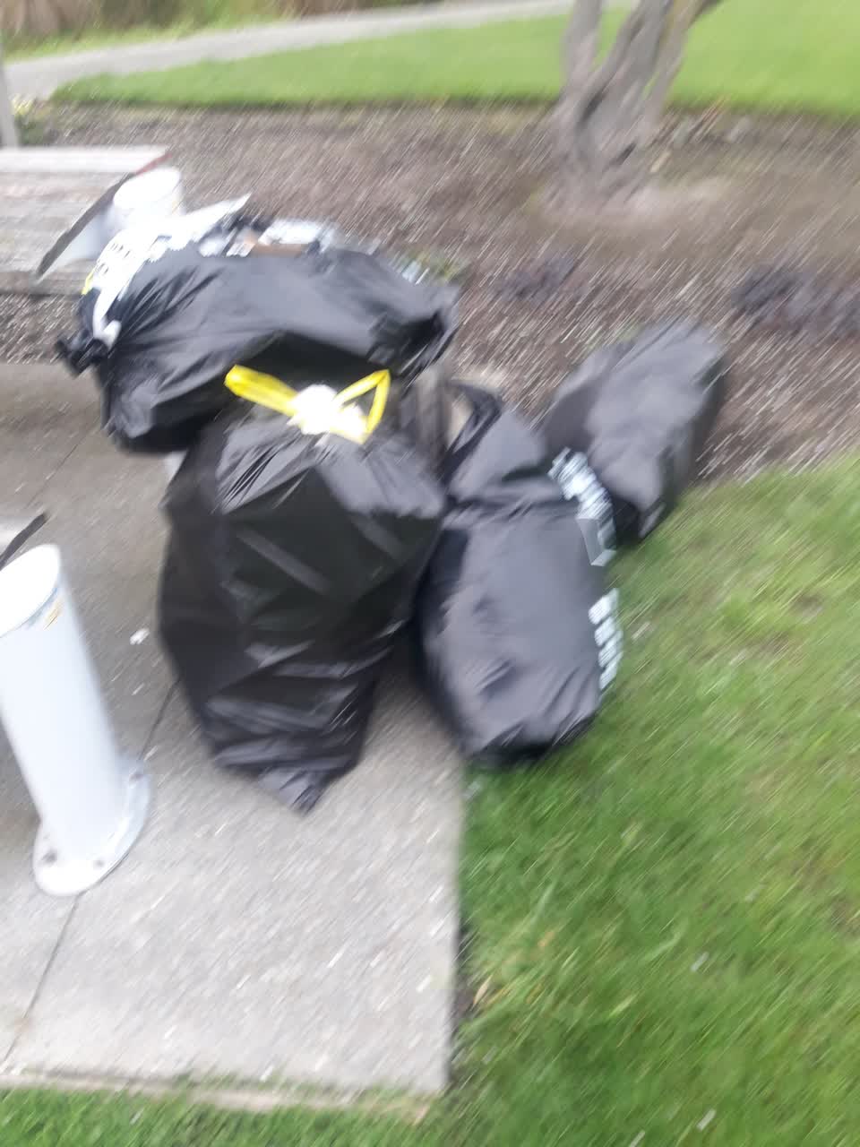 The photograph attached to this parks report