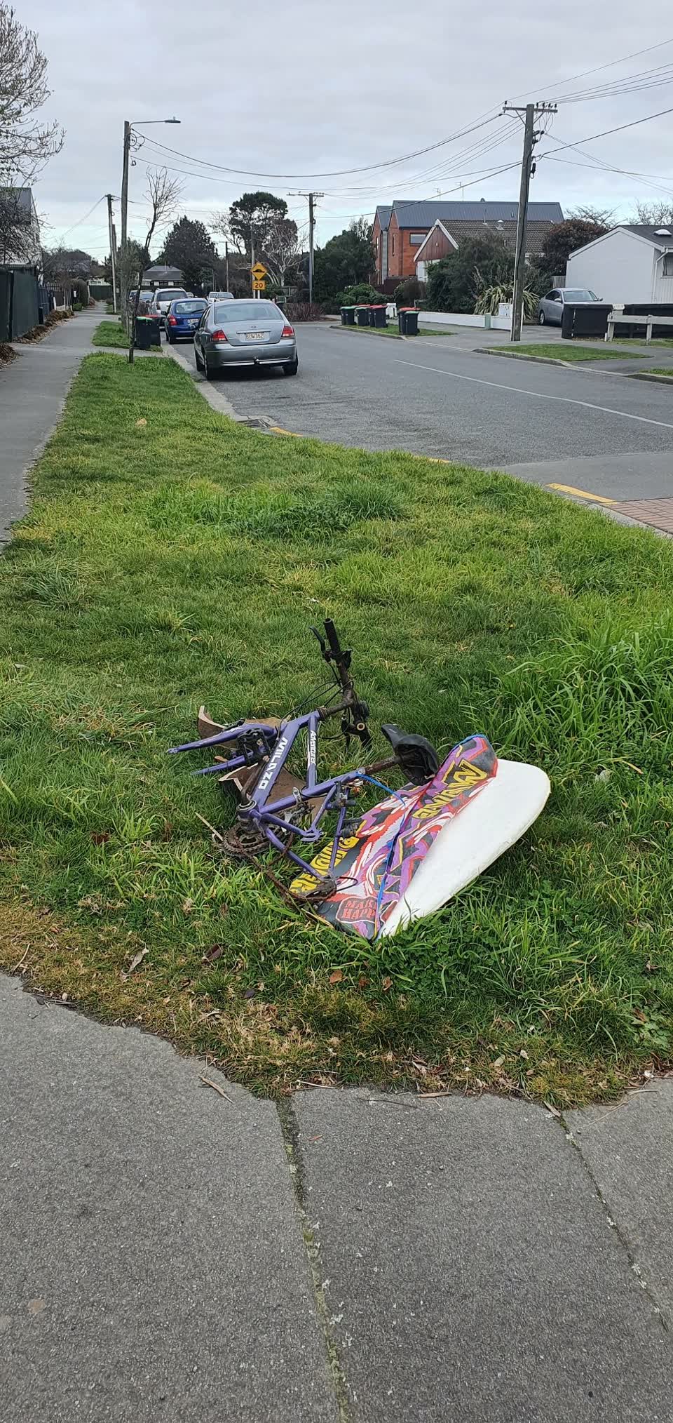 The photograph attached to this rubbish/recycling report