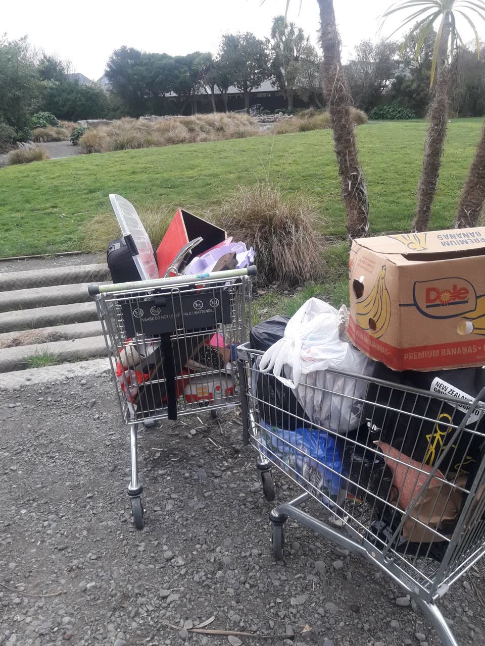 The photograph attached to this parks report