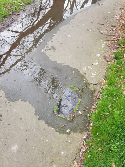Water Leak, a report photo