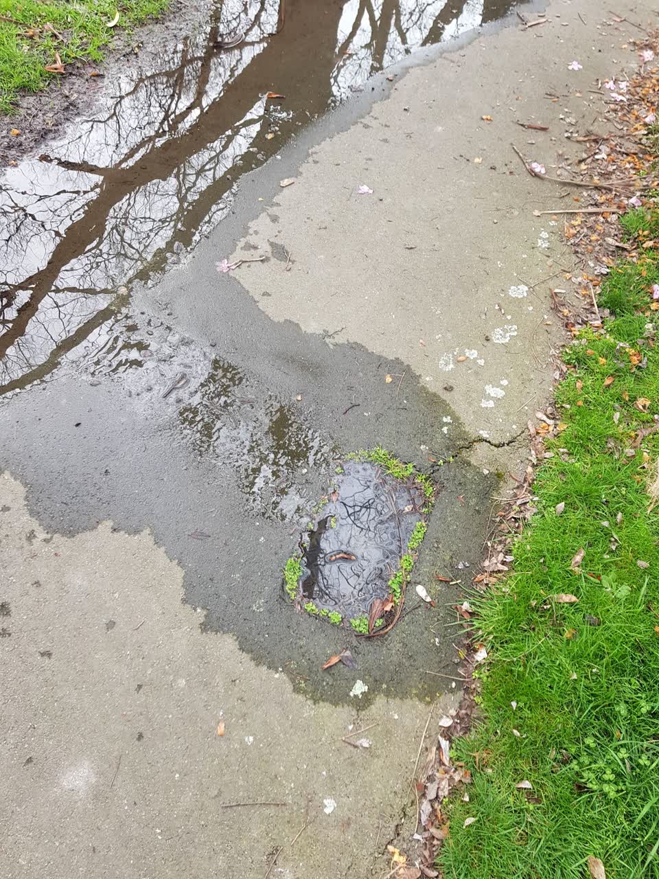 The photograph attached to this water leak report